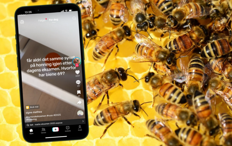 Skjermdump frå TikTok med teksten: "får aldri det samme synet på honning igjen etter dagens eksamen. Hvorfor har biene 69?"