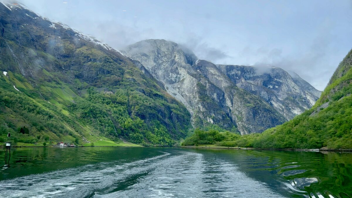 Natur og klima får framleis merksemd, trass i mykje geopolitisk uro i verda.