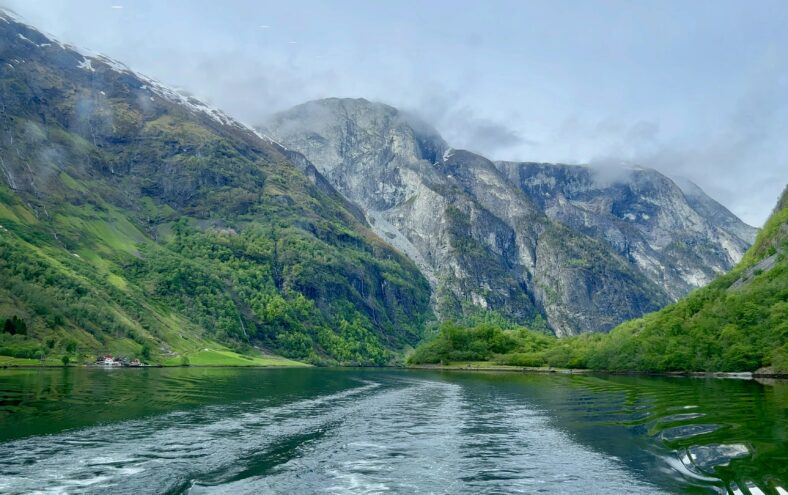 Natur og klima får framleis merksemd, trass i mykje geopolitisk uro i verda.