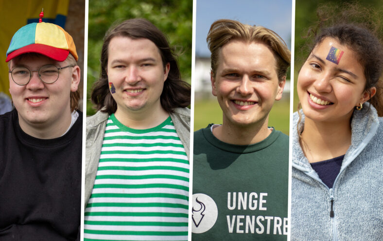 Kollasj med ein tre ungdommar klipt saman. Frå venstre: Ein gut i frøn, raud og gul hatt, og briller, ein gut i grøn og kvit stripete skjorte, ein gut i grøn genser med teksten "Unge" synleg, ei jente med grå genser og eit regnboge-EU-flagg klistra i panna.