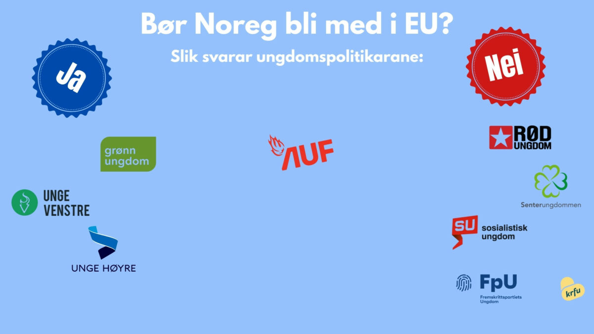 Illustrasjonen viser at Unge Venstre, Grøn Ungdom og Unge Høgre seier Ja til norsk EU-medlemskap. AUF er i midten, utan eit tydeleg ja eller nei. Raud Ungdom, Sosialistisk Ungdom, Senterungdommen, Framstegspartiets Ungdom og Kristeleg Folkepartis ungdom seier Nei til norsk medlemskap i EU.